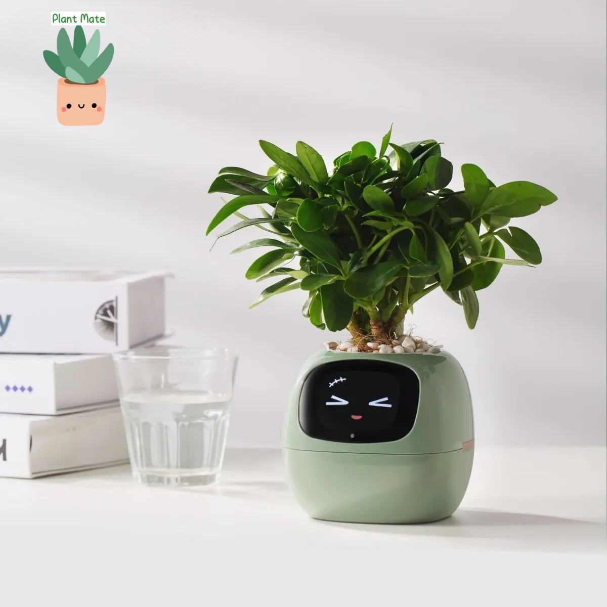 Plant Mate
