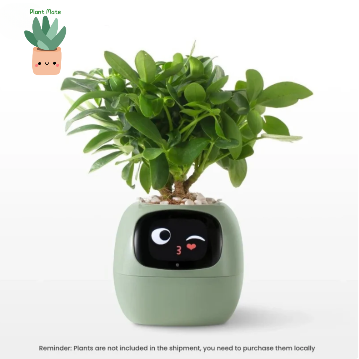 Plant Mate