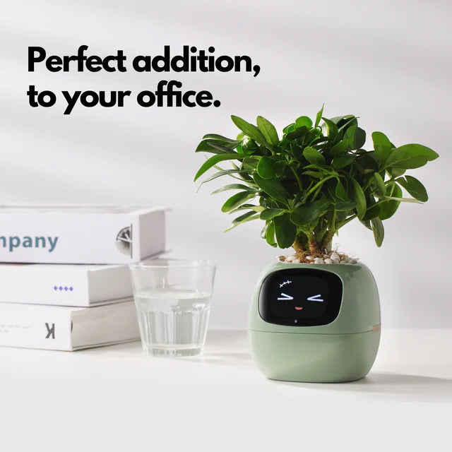 Plant Mate